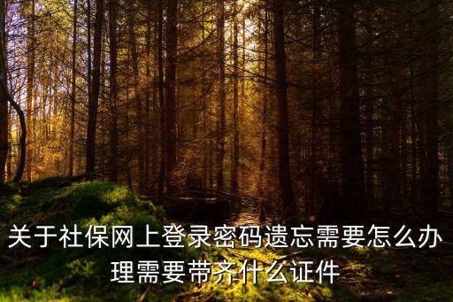關于社保網上登錄密碼遺忘需要怎么辦理需要帶齊什么證件