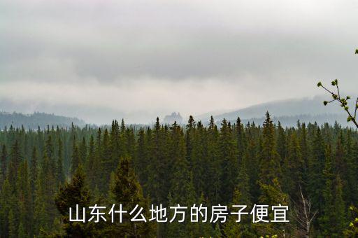 山東什么地方的房子便宜