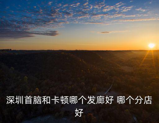 深圳首腦和卡頓哪個發(fā)廊好 哪個分店好