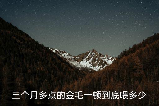 三個月多點的金毛一頓到底喂多少