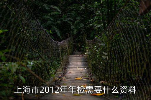 上海市2012年年檢需要什么資料
