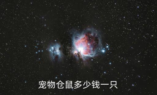 寵物倉鼠多少錢一只