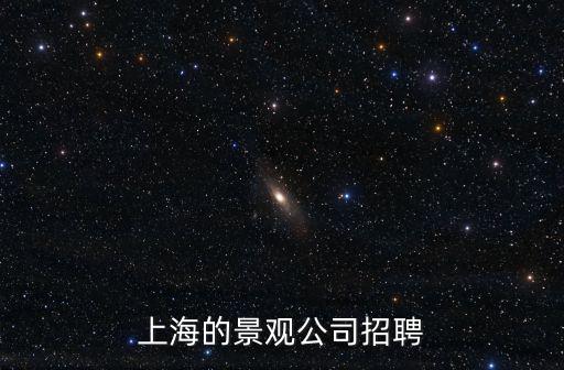 上海市商貿旅游學校 招聘，上海的景觀公司招聘