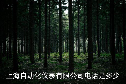 上海市博自動化技術有限公司，上海市嘉定區安亭鎮曹聯路66號是什么公司