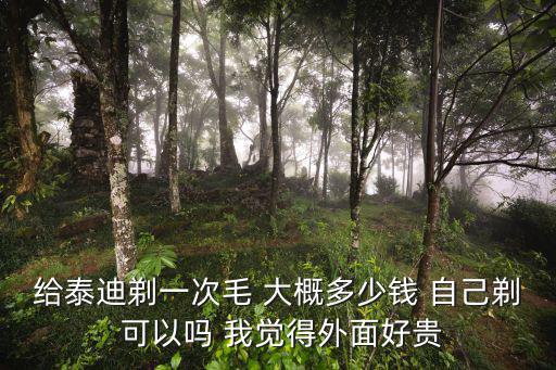 給泰迪剪胎毛多少錢，泰迪犬第一次剃胎毛多少錢啊