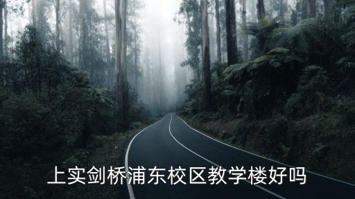 上實劍橋浦東校區教學樓好嗎