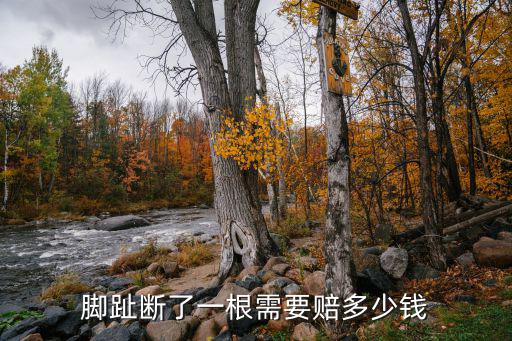 斷狼趾多少錢，斷手指賠償多少錢