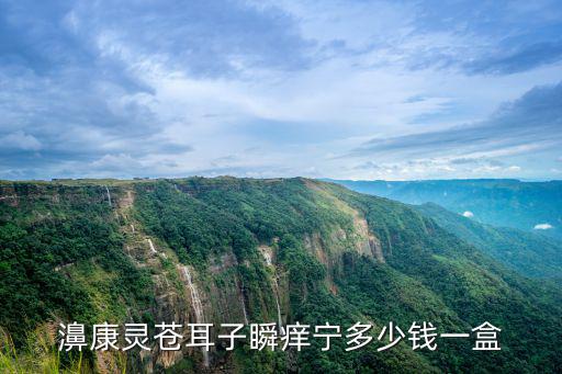 濞康靈蒼耳子瞬癢寧多少錢(qián)一盒