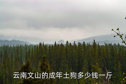 云南文山的成年土狗多少錢一斤