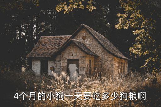 4個(gè)月的小狗一天要吃多少狗糧啊