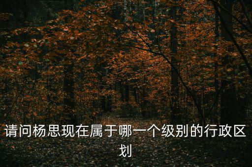 請(qǐng)問(wèn)楊思現(xiàn)在屬于哪一個(gè)級(jí)別的行政區(qū)劃