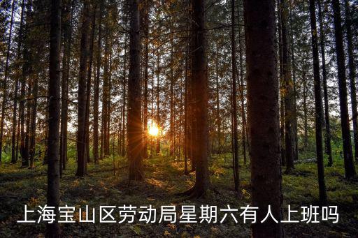 上海寶山區勞動局星期六有人上班嗎