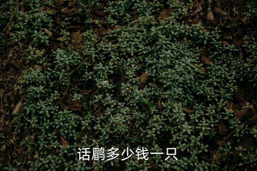 小的坎高犬多少錢一只，杜高犬幼犬多少錢一只
