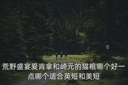 荒野盛宴愛肯拿和崎元的貓糧哪個好一點(diǎn)哪個適合英短和美短