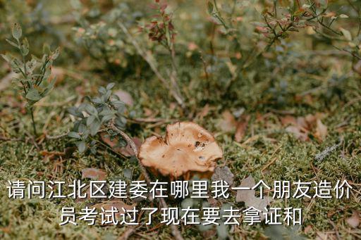 請問江北區(qū)建委在哪里我一個朋友造價員考試過了現在要去拿證和