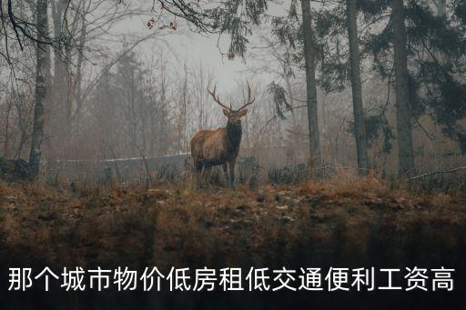 那個城市物價低房租低交通便利工資高