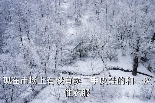 現在市場上有沒有賣二手皮鞋的和一次性衣服
