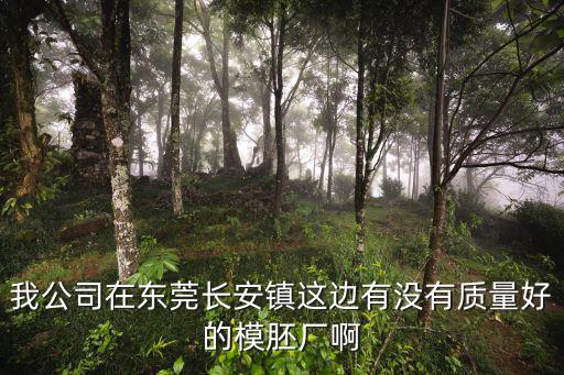 我公司在東莞長安鎮這邊有沒有質量好的模胚廠啊