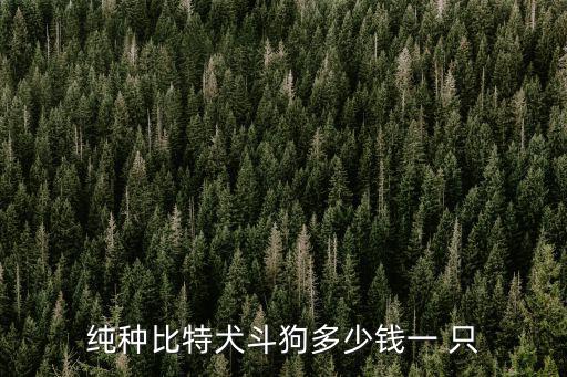 純種比特犬斗狗多少錢一 只