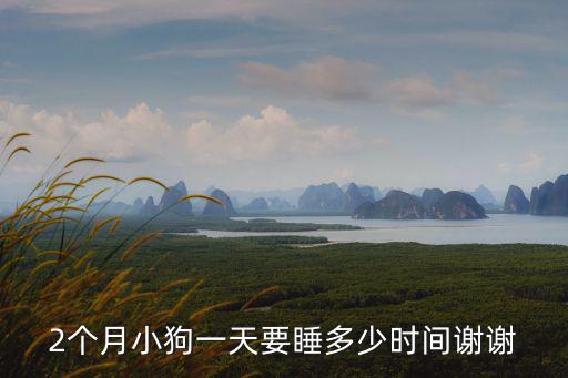 2個月小狗一天要睡多少時間謝謝