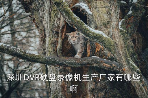 深圳DVR硬盤錄像機生產廠家有哪些啊