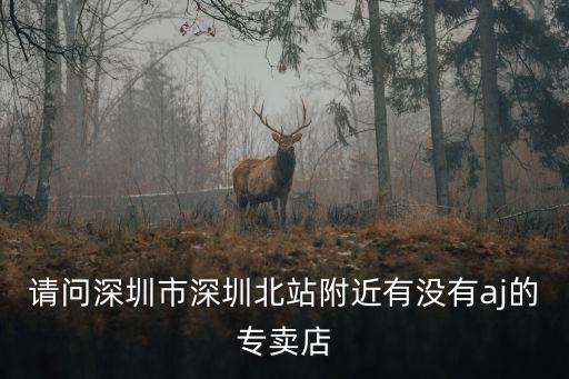 請問深圳市深圳北站附近有沒有aj的專賣店