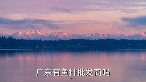 廣東有魚排批發(fā)商嗎