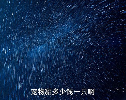 寵物貂多少錢一只啊