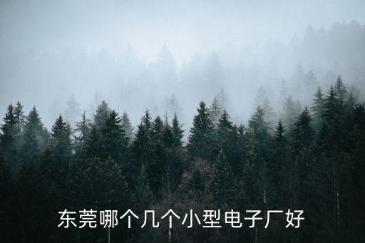 東莞哪個幾個小型電子廠好