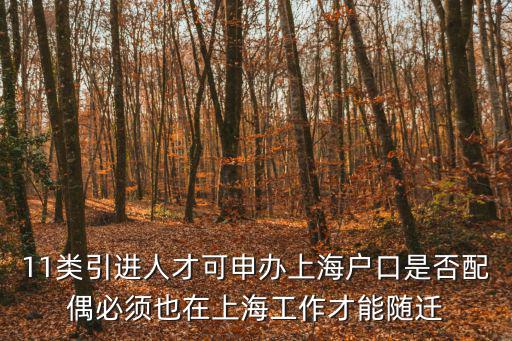 11類引進人才可申辦上海戶口是否配偶必須也在上海工作才能隨遷