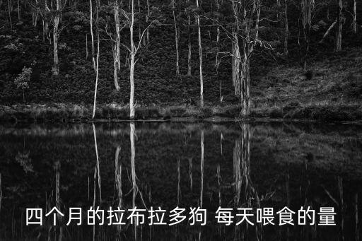 四個月的拉布拉多狗 每天喂食的量
