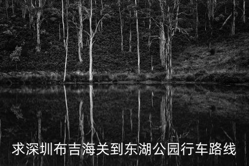 求深圳布吉海關到東湖公園行車路線