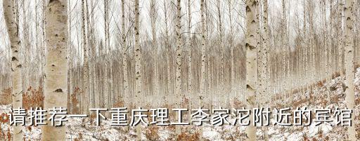 請(qǐng)推薦一下重慶理工李家沱附近的賓館