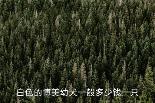 白色的博美幼犬一般多少錢一只