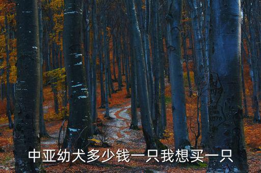 中亞幼犬多少錢一只我想買一只