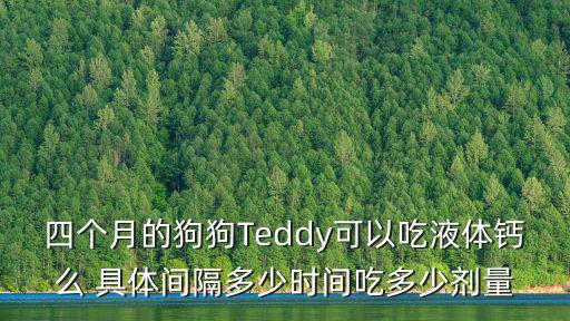 四個月的狗狗Teddy可以吃液體鈣么 具體間隔多少時間吃多少劑量