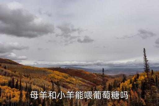 母羊和小羊能喂葡萄糖嗎
