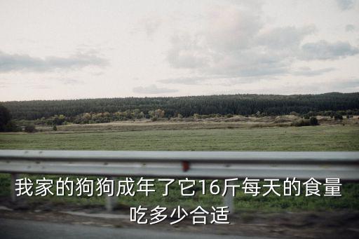 我家的狗狗成年了它16斤每天的食量吃多少合適