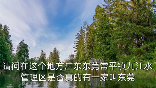 東莞富仁匯投資有限公司，請問在這個地方廣東東莞常平鎮九江水管理區是否真的有一家叫東莞