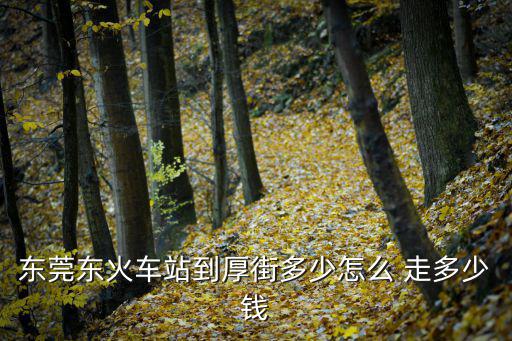 東莞東火車站到厚街多少怎么 走多少錢
