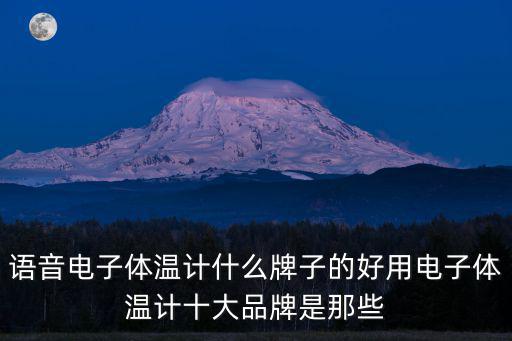 語音電子體溫計什么牌子的好用電子體溫計十大品牌是那些