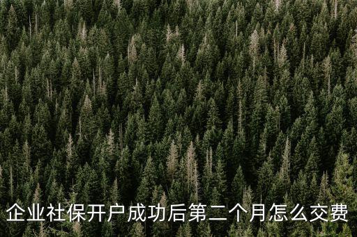 企業(yè)社保開戶成功后第二個月怎么交費