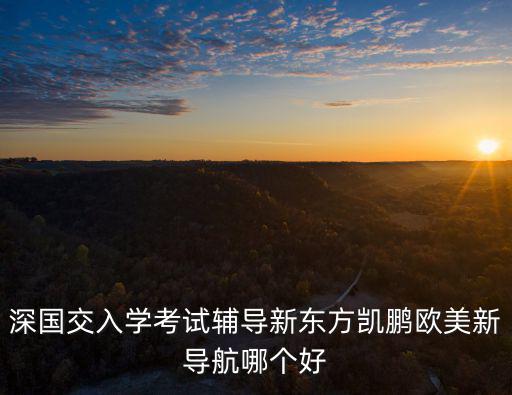 深國交入學考試輔導新東方凱鵬歐美新導航哪個好