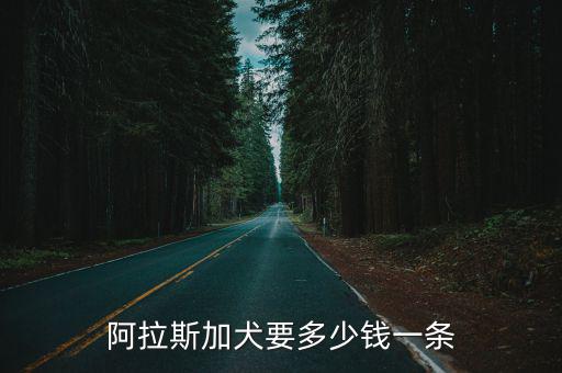 阿拉斯加犬要多少錢一條