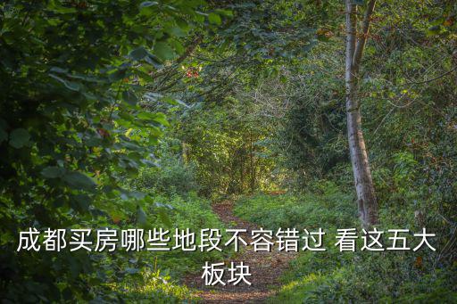 成都買房哪些地段不容錯過 看這五大板塊