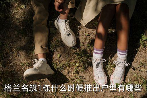 格蘭名筑1棟什么時候推出戶型有哪些