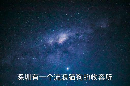 深圳有一個流浪貓狗的收容所