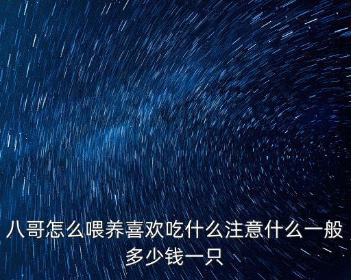 八哥每天吃多少錢，八哥一天應(yīng)吃多少