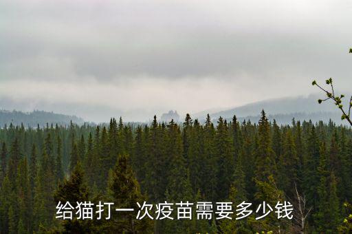 給貓打一次疫苗需要多少錢