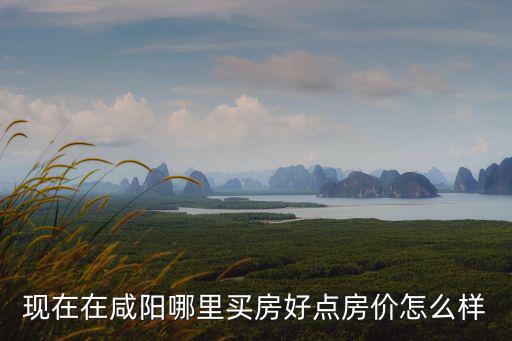 現在在咸陽哪里買房好點房價怎么樣